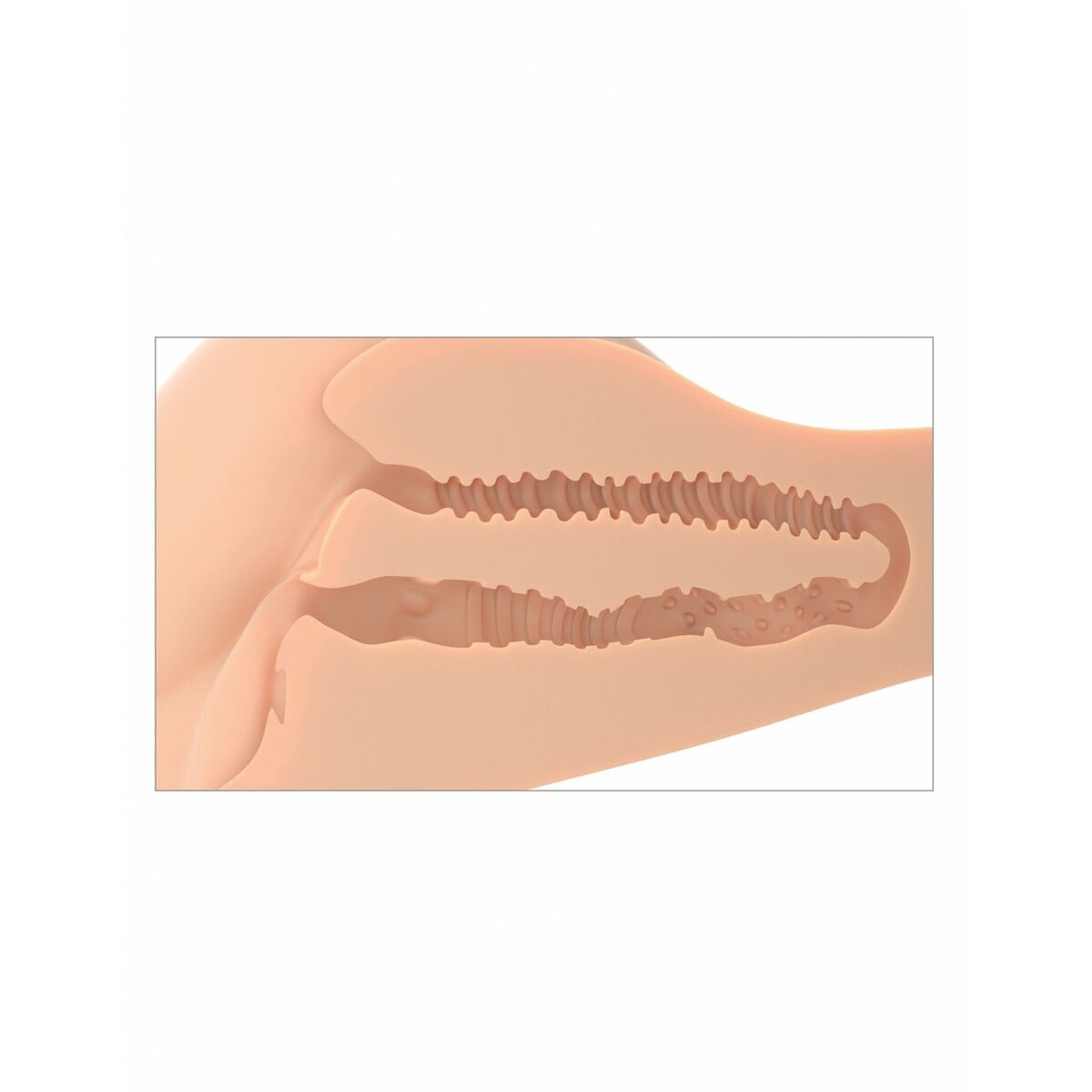 Masturbator Pipedream PDX PLUS 360° BANGER LIGHT Carne, 7, roseregalo.com