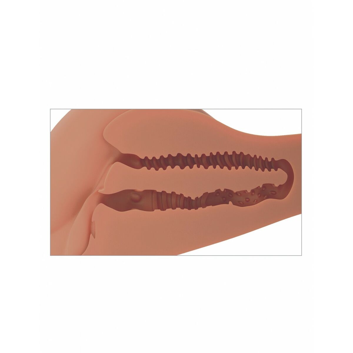 V4HDBF2C9A1BFA8499EF8A57DA500E12FD0R5116386P7