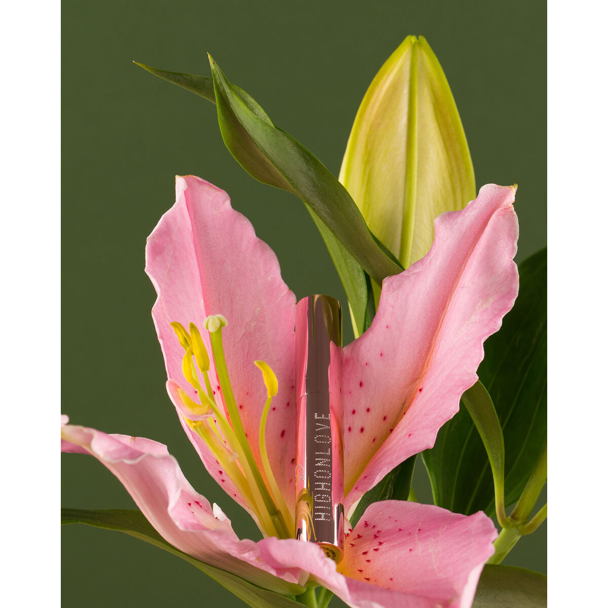 Luciu de Buze Highonlove, 5, roseregalo.com