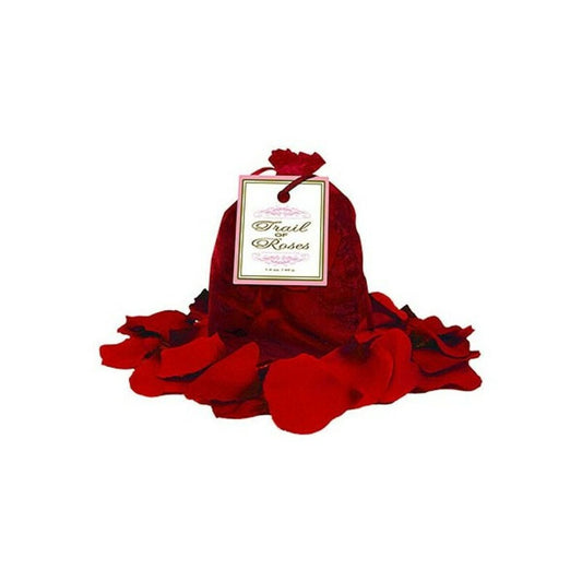 V9HBC24B635230E888399B546E0D50A784DR4210471P1