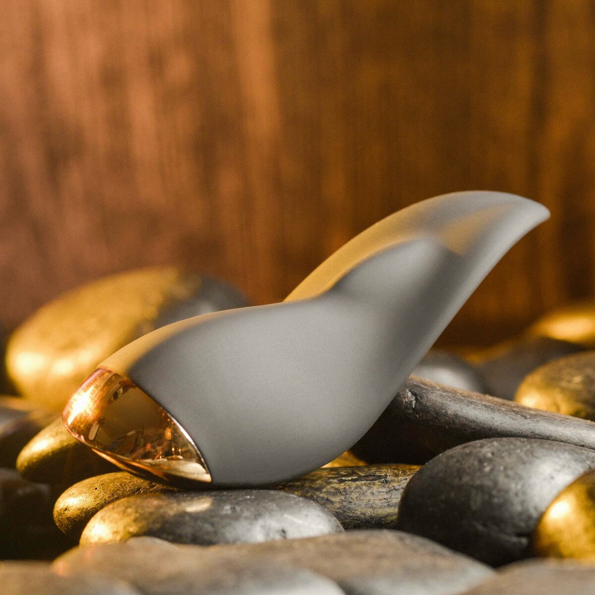 Dispozitiv de Masaj Evolved Negru, 10, roseregalo.com