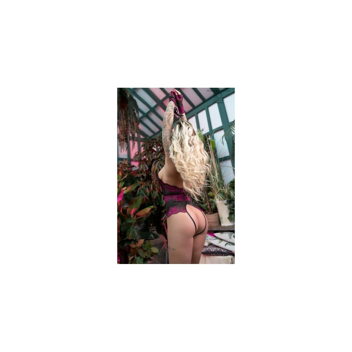 Body Chilirose, 3, roseregalo.com