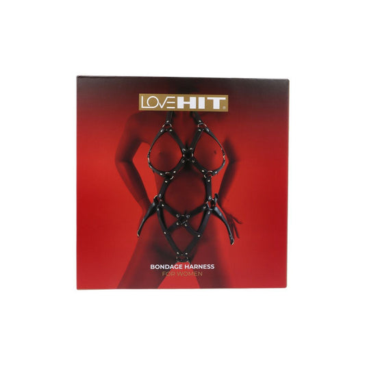 V5H19FB4367DC3DE533CC193EC450A0A1CAR5569268P1