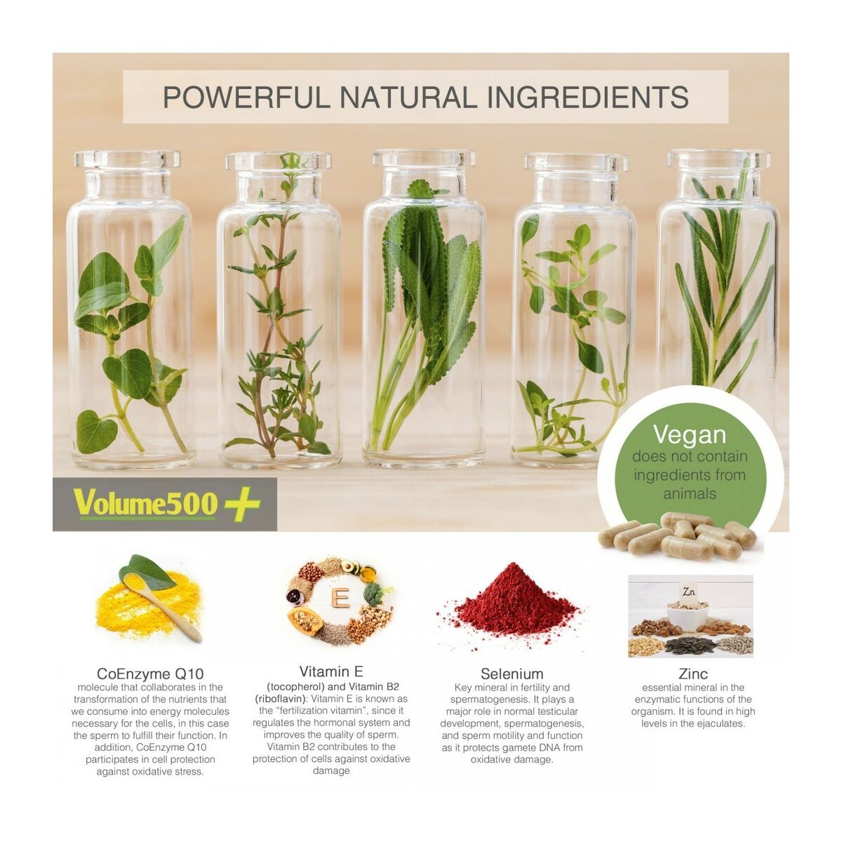 V6H6B7C2E24BAF0651E2C7CB2C0EF6371E5R4804244P3